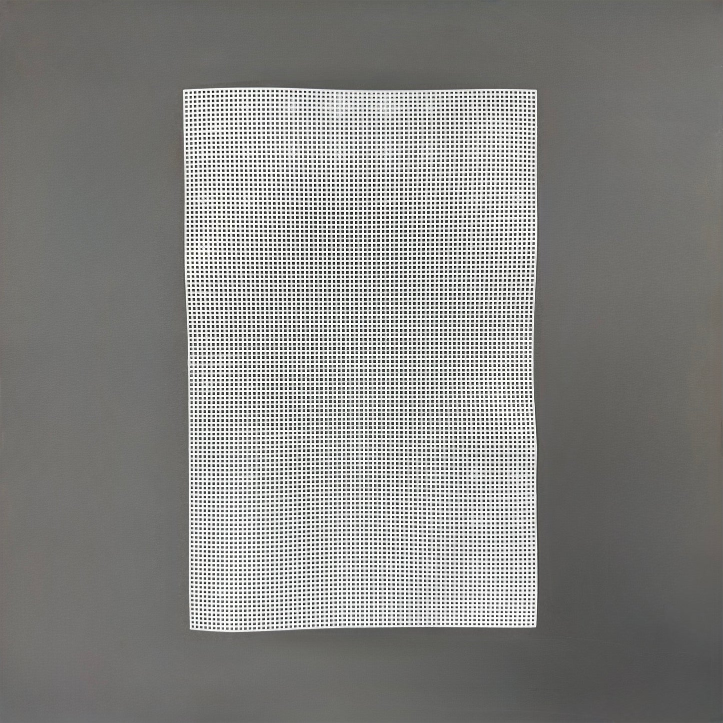 Plastic rectangle canvas - 50 x 33cm