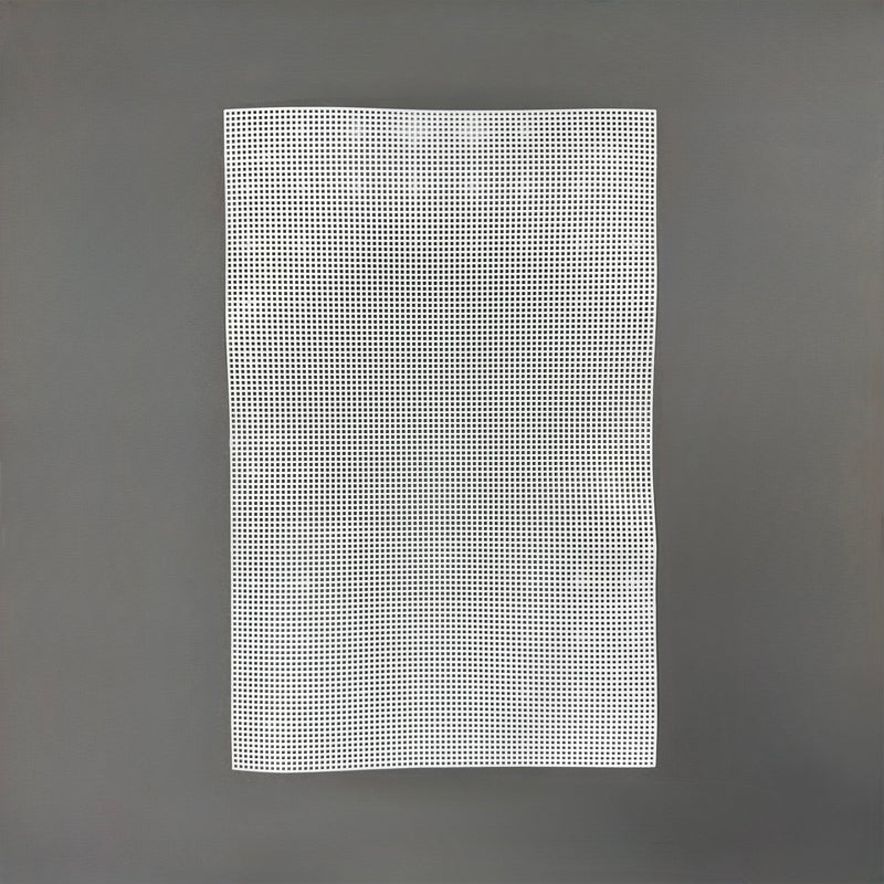 Plastic rectangle canvas - 50 x 33cm