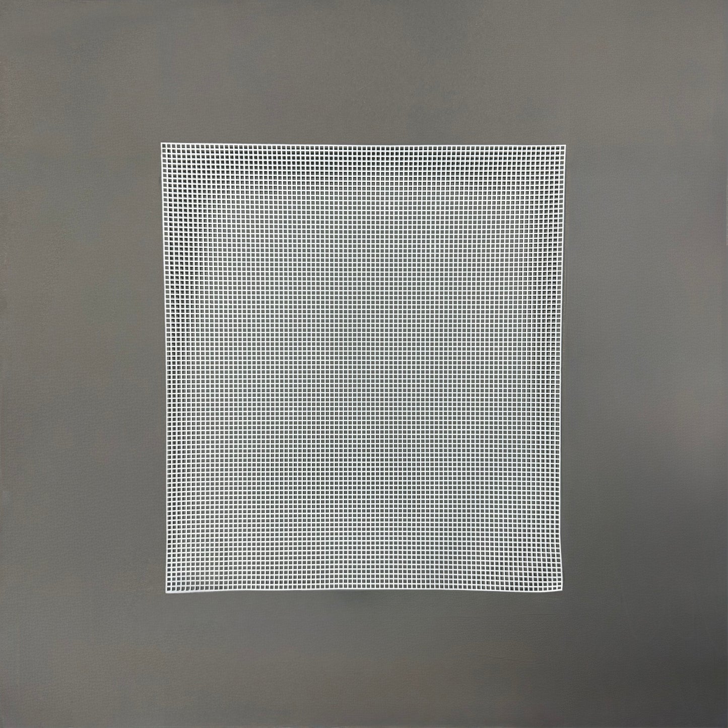 Plastic canvas - 41 x 36.5cm
