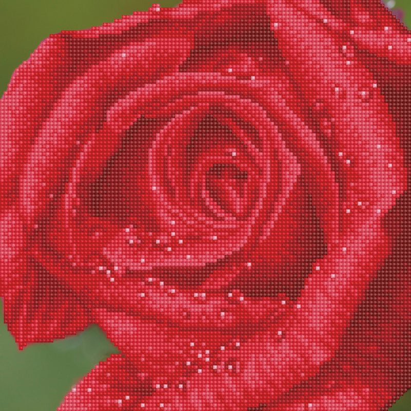 Rose Dew Diamond Painting Artwork Kit - DD5.039 by Diamond Dotz